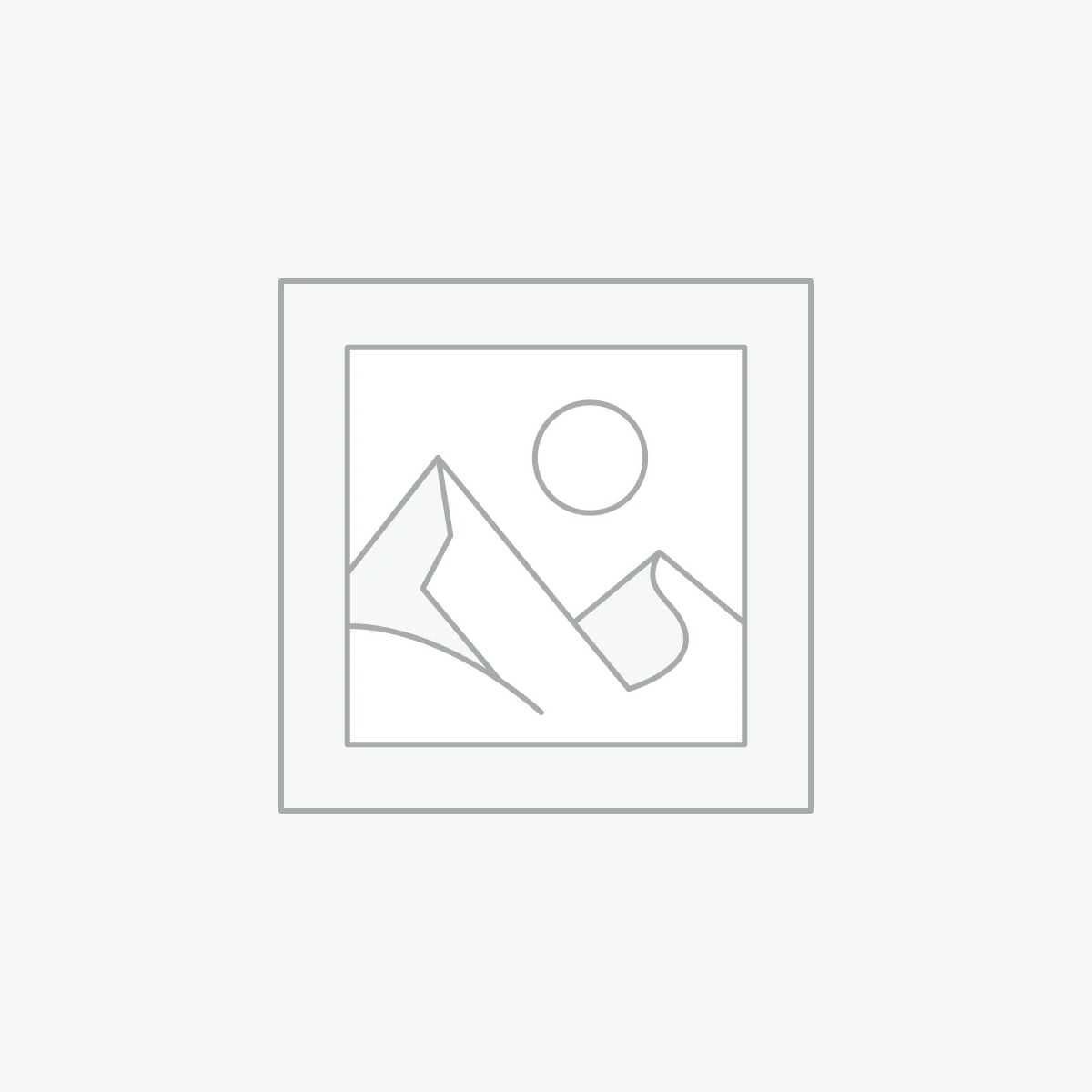 VEGA IT NETWORKS INDIA PVT LTD